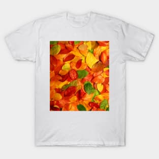 Golden Autumn Leaves T-Shirt